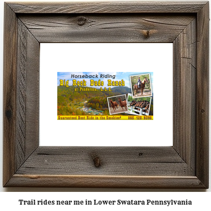 trail rides near me in Lower Swatara, Pennsylvania